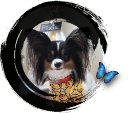 Chief Happiness Officer Pixie